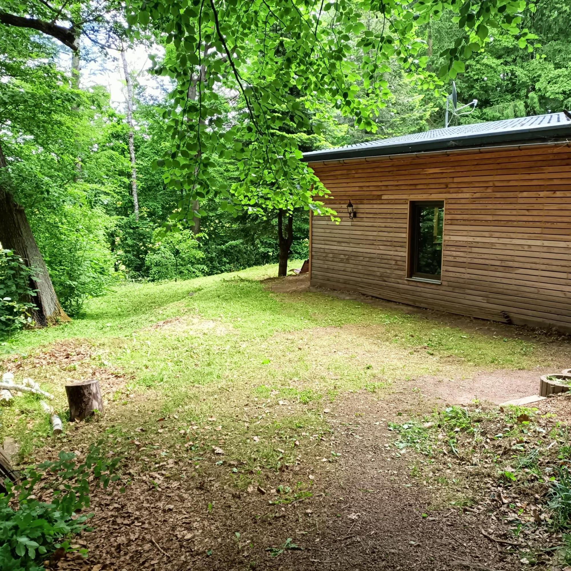 Villa Waldhaus Hempe à Tabarz Extérieur photo